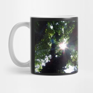 Sunbeam Art Photography Sunshine Shining Through The Summer Tree Beautiful Nature Mug